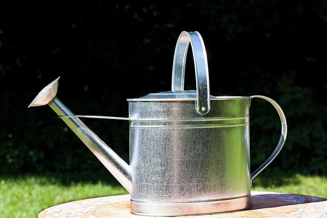 uploads/images/Watering Can 397299_640