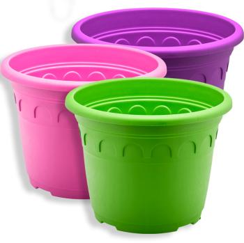 webcat 000100040001000b00010006