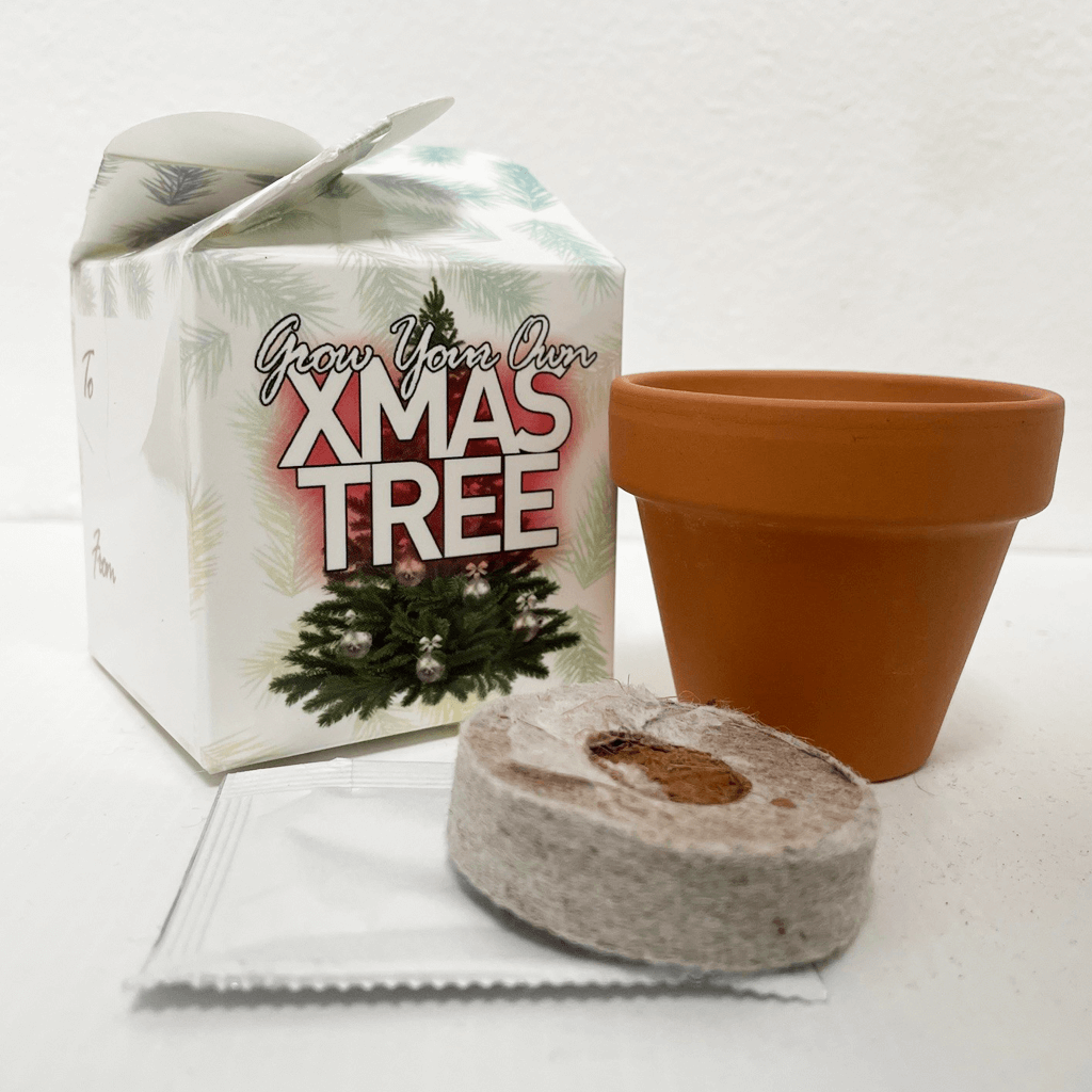 uploads/images/Xmas Tree 1 1