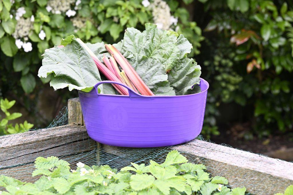 uploads/images/Xt9mvvms